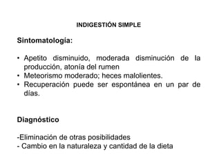 INDIGESTIÓN SIMPLE
Sintomatología:
• Apetito disminuido, moderada disminución de la
producción, atonía del rumen
• Meteorismo moderado; heces malolientes.
• Recuperación puede ser espontánea en un par de
días.
Diagnóstico
-Eliminación de otras posibilidades
- Cambio en la naturaleza y cantidad de la dieta
 