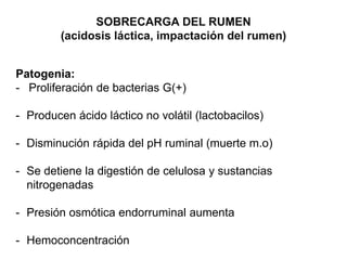 SOBRECARGA DEL RUMEN
(acidosis láctica, impactación del rumen)
Patogenia:
- Proliferación de bacterias G(+)
- Producen ácido láctico no volátil (lactobacilos)
- Disminución rápida del pH ruminal (muerte m.o)
- Se detiene la digestión de celulosa y sustancias
nitrogenadas
- Presión osmótica endorruminal aumenta
- Hemoconcentración
 