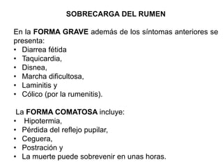 SOBRECARGA DEL RUMEN
En la FORMA GRAVE además de los síntomas anteriores se
presenta:
• Diarrea fétida
• Taquicardia,
• Disnea,
• Marcha dificultosa,
• Laminitis y
• Cólico (por la rumenitis).
La FORMA COMATOSA incluye:
• Hipotermia,
• Pérdida del reflejo pupilar,
• Ceguera,
• Postración y
• La muerte puede sobrevenir en unas horas.
 