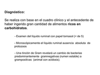 Diagnóstico:
Se realiza con base en el cuadro clínico y el antecedente de
haber ingerido gran cantidad de alimentos ricos en
carbohidratos.
- Examen del líquido ruminal con papel tornasol (< de 5)
- Microscópicamente el líquido ruminal ausencia absoluta de
protozoos
- Una tinción de Gram revelará un cambio de bacterias
predominantemente gramnegativas (rumen estable) a
grampositivas (animal con acidosis).
 