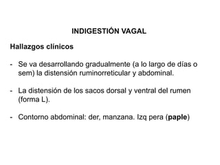 INDIGESTIÓN VAGAL
Hallazgos clínicos
- Se va desarrollando gradualmente (a lo largo de días o
sem) la distensión ruminorreticular y abdominal.
- La distensión de los sacos dorsal y ventral del rumen
(forma L).
- Contorno abdominal: der, manzana. Izq pera (paple)
 