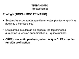 TIMPANISMO
(meteorismo)
Etiología (TIMPANISMO PRIMARIO)
• Sustancias espumantes que tienen estas plantas (saponinas
pectinas y hemicelulosa)
• Las plantas suculentas en especial las leguminosas
aumentan la tensión superficial en el líquido ruminal.
• CRFR causan timpanismo, mientras que CLFR cumplen
función profiláctica.
 