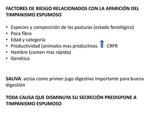 FACTORES DE RIESGO RELACIONADOS CON LA APARICIÓN DEL
TIMPANISMO ESPUMOSO
• Especies y composición de las pasturas (estado fenológico)
• Poca fibra
• Edad y categoría
• Productividad (animales mas productivos CRFR
• Hambre (comen mas rápido)
• Genética
SALIVA: actúa como primer jugo digestivo importante para buena
digestión
TODA CAUSA QUE DISMINUYA SU SECRECIÓN PREDISPONE A
TIMPANISMO ESPUMOSO
 