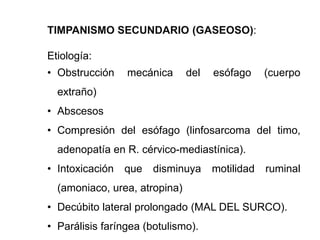 TIMPANISMO SECUNDARIO (GASEOSO):
Etiología:
• Obstrucción mecánica del esófago (cuerpo
extraño)
• Abscesos
• Compresión del esófago (linfosarcoma del timo,
adenopatía en R. cérvico-mediastínica).
• Intoxicación que disminuya motilidad ruminal
(amoniaco, urea, atropina)
• Decúbito lateral prolongado (MAL DEL SURCO).
• Parálisis faríngea (botulismo).
 