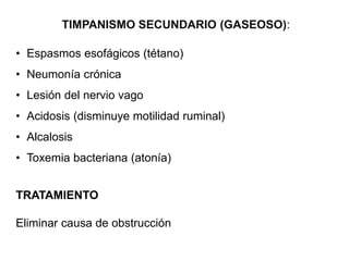 TIMPANISMO SECUNDARIO (GASEOSO):
• Espasmos esofágicos (tétano)
• Neumonía crónica
• Lesión del nervio vago
• Acidosis (disminuye motilidad ruminal)
• Alcalosis
• Toxemia bacteriana (atonía)
TRATAMIENTO
Eliminar causa de obstrucción
 