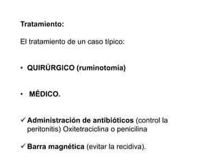 Tratamiento:
El tratamiento de un caso típico:
• QUIRÚRGICO (ruminotomía)
• MÉDICO.
 Administración de antibióticos (control la
peritonitis) Oxitetraciclina o penicilina
 Barra magnética (evitar la recidiva).
 