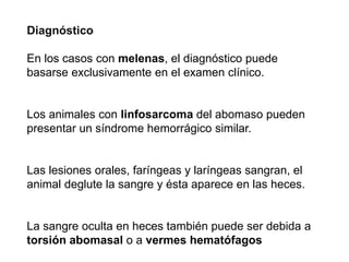 Diagnóstico
En los casos con melenas, el diagnóstico puede
basarse exclusivamente en el examen clínico.
Los animales con linfosarcoma del abomaso pueden
presentar un síndrome hemorrágico similar.
Las lesiones orales, faríngeas y laríngeas sangran, el
animal deglute la sangre y ésta aparece en las heces.
La sangre oculta en heces también puede ser debida a
torsión abomasal o a vermes hematófagos
 
