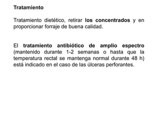 Tratamiento
Tratamiento dietético, retirar los concentrados y en
proporcionar forraje de buena calidad.
El tratamiento antibiótico de amplio espectro
(mantenido durante 1-2 semanas o hasta que la
temperatura rectal se mantenga normal durante 48 h)
está indicado en el caso de las úlceras perforantes.
 