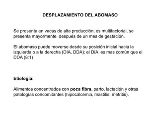 DESPLAZAMIENTO DEL ABOMASO
Se presenta en vacas de alta producción, es multifactorial, se
presenta mayormente después de un mes de gestación.
El abomaso puede moverse desde su posición inicial hacia la
izquierda o a la derecha (DIA, DDA); el DIA es mas común que el
DDA (8:1)
Etiología:
Alimentos concentrados con poca fibra, parto, lactación y otras
patologías concomitantes (hipocalcemia, mastitis, metritis).
 