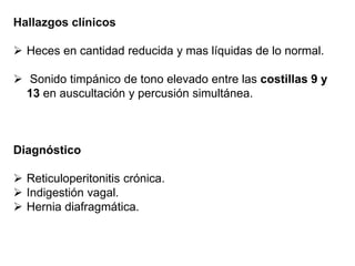 Hallazgos clínicos
 Heces en cantidad reducida y mas líquidas de lo normal.
 Sonido timpánico de tono elevado entre las costillas 9 y
13 en auscultación y percusión simultánea.
Diagnóstico
 Reticuloperitonitis crónica.
 Indigestión vagal.
 Hernia diafragmática.
 