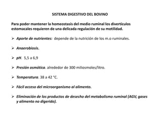 SISTEMA DIGESTIVO DEL BOVINO
Para poder mantener la homeostasis del medio ruminal los divertículos
estomacales requieren de una delicada regulación de su motilidad.
 Aporte de nutrientes: depende de la nutrición de los m.o ruminales.
 Anaerobiosis.
 pH. 5,5 a 6,9
 Presión osmótica. alrededor de 300 miliosmoles/litro.
 Temperatura. 38 a 42 °C.
 Fácil acceso del microorganismo al alimento.
 Eliminación de los productos de desecho del metabolismo ruminal (AGV, gases
y alimento no digerido).
 