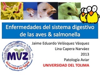 Jaime Eduardo Velásquez Vásquez
Lina Capera Narváez
2013
Patología Aviar
UNIVERSIDAD DEL TOLIMA
 