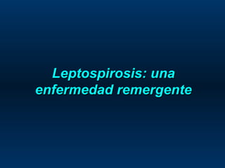 Leptospirosis: una enfermedad remergente 