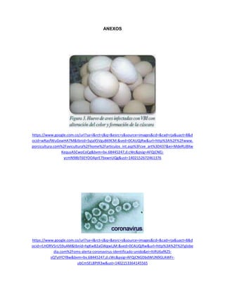 ANEXOS
https://www.google.com.co/url?sa=i&rct=j&q=&esrc=s&source=images&cd=&cad=rja&uact=8&d
ocid=wRasfWuGxwHA7M&tbnid=SyjaX5VguB69CM:&ved=0CAUQjRw&url=http%3A%2F%2Fwww.
porcicultura.com%2Favicultura%2Fhome%2Farticulos_int.asp%3Fcve_art%3D437&ei=MdeRU8Xw
KequsASCwoCoCg&bvm=bv.68445247,d.cWc&psig=AFQjCNEj-
ycmN98bT6EYOOAprE7bxwnUQg&ust=1402152672461376
https://www.google.com.co/url?sa=i&rct=j&q=&esrc=s&source=images&cd=&cad=rja&uact=8&d
ocid=rLHORV5rU59uAM&tbnid=hgKwB2aGWgwLjM:&ved=0CAUQjRw&url=http%3A%2F%2Fglobe
dia.com%2Foms-alerta-coronavirus-identificado-unido&ei=ItiRU6afKZS-
sQTytYCYBw&bvm=bv.68445247,d.cWc&psig=AFQjCNGDbdWUN9GLAWFr-
ubCmSEL8PtR3w&ust=1402153364145565
 