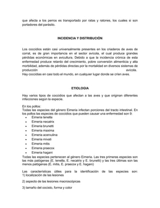 que afecta a los perros es transportado por ratas y ratones, los cuales si son
portadores del parásito.
INCIDENCIA Y DISTRIBUCIÓN
Los coccidios están casi universalmente presentes en los criaderos de aves de
corral, es de gran importancia en el sector avícola, el cual produce grandes
pérdidas económicas en avicultura. Debido a que la incidencia crónica de esta
enfermedad produce retardo del crecimiento, pobre conversión alimenticia y alta
morbilidad, además de pérdidas directas por la mortalidad en diversos sistemas de
producción avícola.
Hay coccidias en casi todo el mundo, en cualquier lugar donde se críen aves.
ETIOLOGIA
Hay varios tipos de coccidios que afectan a las aves y que originan diferentes
infecciones según la especie.
En los pollos:
Todas las especies del género Eimeria infectan porciones del tracto intestinal. En
los pollos las especies de coccidios que pueden causar una enfermedad son 9:
 Eimeria tenella
 Eimeria necatrix
 Eimeria brunetti
 Eimeria maxima
 Eimeria acervulina
 Eimeria mivati
 Eimeria mitis
 Eimeria praecox
 Eimeria hagani
Todas las especies pertenecen al género Eimeria. Las tres primeras especies son
las más patógenas (E. tenella, E. necatrix y E. brunetti) y las tres últimas son las
menos patógenas (E. mitis, E. praecox y E. hagani)
Las características útiles para la identificación de las especies son:
1) localización de las lesiones
2) aspecto de las lesiones macroscópicas
3) tamaño del oocisto, forma y color
 