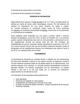 4) tamaño de los esquizontes y merozoítos
5) ubicación de los parásitos en los tejidos
PERIODO DE INCUBACION
Dependiendo de la especie, el ciclo de vida es de 4 a 7 días y la diseminación se
efectúa por medio de heces, polvo, escarabajos, moscas. Por ello debemos de
recalcar la importancia de una buena limpieza de jaulas y aviario.
En muchas ocasiones la coccidiosis puede cursar de forma subclínica
con diarrea y en ocasiones acompañada de anemia, disminución en el crecimiento
y un aumento de la mortalidad.
Estos parásitos están protegidos por una pared y pueden resistir a diversos
factores climatológicos, como son el frío, el calor, la humedad, etc. Los coccidios
pueden soportar temperaturas bajo cero sin inconvenientes y permanecer así en
las explotaciones durante las épocas frías del año. Sin embargo, las
probabilidades de que los ooquistes resistan temperaturas superiores a los 35 ºC
son mucho menores. Es por esto que los coccidios comienzan parasitar cuando la
temperatura en las explotaciones alcanza una temperatura que oscila en torno a
los 25 ºC y un elevado grado de humedad.
TRANSMISION
La Coccidiosis se transmite por contacto directo o indirecto con los excrementos
de otras aves infectadas. Cuando un ave ingiere coccidia, el organismo invade la
mucosa intestinal causando daños en los tejidos según se va reproduciendo. Una
semana después de la infección, la Coccidia produce descendientes inmaduros,
llamados Oocitos. Los Oocitos, expulsados con los excrementos, no pueden
infectar a otra ave a no ser que pasen por un proceso de maduración
(esporulación) en el material de cama.
La transmisión de los ooquistes puede realizarse por:
 Aves afectadas
 Personas que trabajan en otras granjas
 Trabajadores de la granja que cría aves en su casa
 Entrada a la granja de pájaros silvestres Equipo procedente de otra granja
 Visitantes casuales.
SÍNTOMAS
 