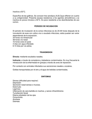 Inactiva a 50°C.
Específico de las gallinas, Se conocen tres serotipos (A,B,C)que difieren en cuanto
a su antigenicidad. Presenta escasa resistencia a los agentes atmosféricos y se
inactiva en pocos minutos a 50°C. Es poco resistente a los desinfectantes de uso
común.
PERIODO DE INCUBACION
El periodo de incubación de la coriza infecciosa es de 24-48 horas después de la
inoculación de aves con cultivo vivo o exudado infeccioso, estos pueden ser variar
dependiendo de la exposición.
24 horas vía intrasinusal
48 horas vía nasal
72 horas aves en jaula
4 días con agua infectada
6-14 días por vía aérea.
TRANSMISION
Directa: mediante exudados nasales.
Indirecta: a través de comederos y bebederos contaminados. Es muy frecuente la
introducción de la enfermedad en granjas a través de aves de reposición.
Por contacto con animales infectados sus secreciones nasales u oculares.
Gotitas transportadas por el aire y el agua de bebidas contaminadas.
SINTOMAS
Disnea (dificultad para respirar)
Depresión
Secreción nasal serosa o mucosa.
Estornudo
Lagrimeo
Inflamación de cara barbilla en machos, y senos infraorbitrarios
Tumefacción facial
Edema alrededor de los ojos
Conjuntivitis
Anorexia
Diarreas
 