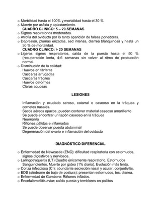 o Morbilidad hasta el 100% y mortalidad hasta el 30 %
o Muerte por asfixia y aplastamiento.
CUADRO CLINICO: 5 – 20 SEMANAS
o Signos respiratorios moderados.
o Atrofia del oviducto por lo tanto aparición de falsas ponedoras.
o Depresión, plumas erizadas, sed intensa, diarrea blanquinosa y hasta un
30 % de mortalidad.
CUADRO CLINICO: > 20 SEMANAS
o Ligeros signos respiratorios, caída de la puesta hasta el 50 %
(recuperación lenta, 4-6 semanas sin volver al ritmo de producción
normal.
o Disminución de la calidad:
Huevos en fárfaras
Cascaras arrugadas
Cascaras frágiles
Huevos deformes
Claras acuosas
LESIONES
Inflamación y exudado seroso, catarral o caseoso en la tráquea y
cornetes nasales.
Sacos aéreos opacos, pueden contener material caseoso amarillento
Se puede encontrar un tapón caseoso en la tráquea
Neumonía
Riñones pálidos e inflamados
Se puede observar puesta abdominal
Degeneración del ovario e inflamación del oviducto
DIAGNÓSTICO DIFERENCIAL
o Enfermedad de Newcastle (ENC): dificultad respiratoria con estornudos,
signos digestivos y nerviosos.
o Laringotraqueitis (LT):Cuadro únicamente respiratorio, Estornudos
Sanguinolentos, Muerte por goteo (1% diario), Evolución más lenta.
o Coriza infecciosa (CI): abundante secreción nasal y ocular, conjuntivitis.
o EDS (síndrome de baja de postura): presentan estornudos, tos, disnea.
o Enfermedad de Gumboro: Riñones inflados.
o Encefalomielitis aviar: caída puesta y temblores en pollitos
 