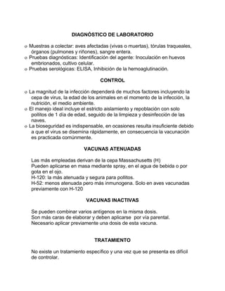 DIAGNÓSTICO DE LABORATORIO
o Muestras a colectar: aves afectadas (vivas o muertas), tórulas traqueales,
órganos (pulmones y riñones), sangre entera.
o Pruebas diagnósticas: Identificación del agente: Inoculación en huevos
embrionados, cultivo celular.
o Pruebas serológicas: ELISA, Inhibición de la hemoaglutinación.
CONTROL
o La magnitud de la infección dependerá de muchos factores incluyendo la
cepa de virus, la edad de los animales en el momento de la infección, la
nutrición, el medio ambiente.
o El manejo ideal incluye el estricto aislamiento y repoblación con solo
pollitos de 1 día de edad, seguido de la limpieza y desinfección de las
naves.
o La bioseguridad es indispensable, en ocasiones resulta insuficiente debido
a que el virus se disemina rápidamente, en consecuencia la vacunación
es practicada comúnmente.
VACUNAS ATENUADAS
Las más empleadas derivan de la cepa Massachusetts (H)
Pueden aplicarse en masa mediante spray, en el agua de bebida o por
gota en el ojo.
H-120: la más atenuada y segura para pollitos.
H-52: menos atenuada pero más inmunogena. Solo en aves vacunadas
previamente con H-120
VACUNAS INACTIVAS
Se pueden combinar varios antígenos en la misma dosis.
Son más caras de elaborar y deben aplicarse por vía parental.
Necesario aplicar previamente una dosis de esta vacuna.
TRATAMIENTO
No existe un tratamiento específico y una vez que se presenta es difícil
de controlar.
 