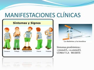 MANIFESTACIONES CLÍNICAS
Síntomas prodrómicos :
>7mmol/L, >11,1mmol/L
COMA Y LA MUERTE
 