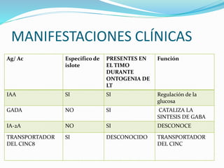 MANIFESTACIONES CLÍNICAS
Ag/ Ac Especifico de
islote
PRESENTES EN
EL TIMO
DURANTE
ONTOGENIA DE
LT
Función
IAA SI SI Regulación de la
glucosa
GADA NO SI CATALIZA LA
SINTESIS DE GABA
IA-2A NO SI DESCONOCE
TRANSPORTADOR
DEL CINC8
SI DESCONOCIDO TRANSPORTADOR
DEL CINC
 