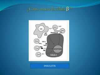 INSULITIS
 
