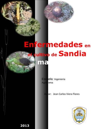 Enfermedades en
el cultivo de Sandia
mandarina
Escuela: Ingeniería
Agrónoma

Autor: Jean Carlos Viera Flores

2013

 