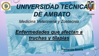 Ecuador

Medicina Veterinaria y Zootecnia

Enfermedades que afectan a
truchas y tilapias
Fernanda Boada

 