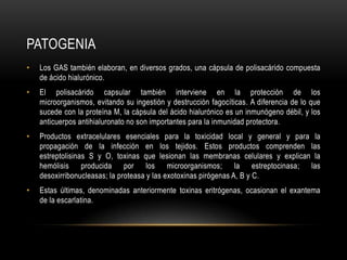 patogeniaLos GAS también elaboran, en diversos grados, una cápsula de polisacárido compuesta de ácido hialurónico.El polisacárido capsular también interviene en la protección de los microorganismos, evitando su ingestión y destrucción fagocíticas. A diferencia de lo que sucede con la proteína M, la cápsula del ácido hialurónico es un inmunógeno débil, y los anticuerpos antihialuronato no son importantes para la inmunidad protectora.Productos extracelulares esenciales para la toxicidad local y general y para la propagación de la infección en los tejidos. Estos productos comprenden las estreptolisinas S y O, toxinas que lesionan las membranas celulares y explican la hemólisis producida por los microorganismos; la estreptocinasa; las desoxirribonucleasas; la proteasa y las exotoxinas pirógenas A, B y C.Estas últimas, denominadas anteriormente toxinas eritrógenas, ocasionan el exantema de la escarlatina.