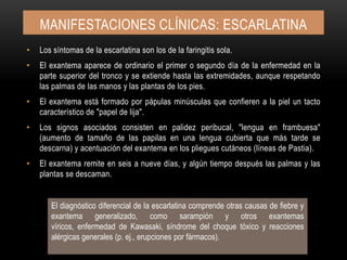 Manifestaciones clínicas: ESCARLATINALos síntomas de la escarlatina son los de la faringitis sola.El exantema aparece de ordinario el primer o segundo día de la enfermedad en la parte superior del tronco y se extiende hasta las extremidades, aunque respetando las palmas de las manos y las plantas de los pies.El exantema está formado por pápulas minúsculas que confieren a la piel un tacto característico de "papel de lija".Los signos asociados consisten en palidez peribucal, "lengua en frambuesa" (aumento de tamaño de las papilas en una lengua cubierta que más tarde se descarna) y acentuación del exantema en los pliegues cutáneos (líneas de Pastia).El exantema remite en seis a nueve días, y algún tiempo después las palmas y las plantas se descaman.El diagnóstico diferencial de la escarlatina comprende otras causas de fiebre y exantema generalizado, como sarampión y otros exantemas víricos, enfermedad de Kawasaki, síndrome del choque tóxico y reacciones alérgicas generales (p. ej., erupciones por fármacos).