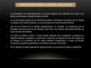 Manifestaciones clínicas: CELULITISLa inoculación de microorganismos en la piel ocasiona una infección de la piel y los tejidos subcutáneos, llamada también celulitis.La vía de acceso puede ser una herida traumática o quirúrgica, la picadura de un insecto o cualquier otra herida cutánea. La vía de acceso casi nunca resulta evidente.Una de las formas de la celulitis estreptocócica, la erisipela, se caracteriza por la tonalidad roja oscura de la piel afectada, que forma una meseta claramente limitada por la piel normal circundante.La lesión es cálida al tacto, a veces resulta dolorosa con la palpación y presenta un aspecto brillante y tumefacto. La piel tiene a menudo una textura de piel de naranja que se atribuye a la afección de los vasos linfáticos superficiales; a veces se forman vesículas o ampollas superficiales, de ordinario tras dos o tres días.Por lo general, la lesión aparece en algunas horas y se vincula con fiebre y escalofríos.