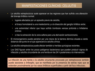 Manifestaciones clínicas: CELULITISLa celulitis estreptocócica suele aparecer en las regiones que han sufrido una alteración del drenaje linfático normal:lugares afectados por un episodio previo de celulitis,el brazo homolateral a una mastectomía y a la disección del ganglio linfático axilar,una extremidad inferior que haya sufrido trombosis venosa profunda o linfedemacrónicoo tras la extracción de la vena safena para una derivación aortocoronaria.El microorganismo puede penetrar por una rotura de la barrera dérmica situada a cierta distancia del punto en el que aparecerá la celulitis clínica.La celulitis estreptocócica puede afectar también a heridas quirúrgicas recientes.Los GAS figuran entre los pocos patógenos bacterianos que pueden producir signos de infección y celulitis circundante de una herida en las 24 h posteriores a la intervención.La infección de una herida o la celulitis circunscrita provocada por estreptococos también puede asociarse a linfangitis, que se manifiesta por la presencia de estrías rojas que se extienden proximalmente por los vasos linfáticos superficiales a partir del foco infeccioso.
