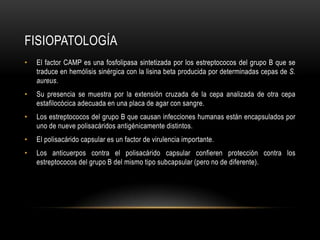 FisiopatologíaEl factor CAMP es una fosfolipasa sintetizada por los estreptococos del grupo B que se traduce en hemólisis sinérgica con la lisina beta producida por determinadas cepas de S. aureus.Su presencia se muestra por la extensión cruzada de la cepa analizada de otra cepa estafilocócica adecuada en una placa de agar con sangre.Los estreptococos del grupo B que causan infecciones humanas están encapsulados por uno de nueve polisacáridos antigénicamente distintos.El polisacárido capsular es un factor de virulencia importante.Los anticuerpos contra el polisacárido capsular confieren protección contra los estreptococos del grupo B del mismo tipo subcapsular (pero no de diferente).