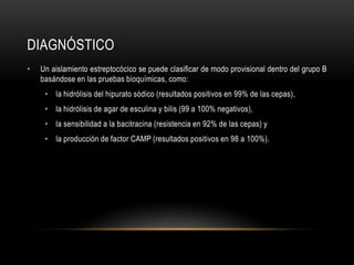 diagnósticoUn aislamiento estreptocócico se puede clasificar de modo provisional dentro del grupo B basándose en las pruebas bioquímicas, como:la hidrólisis del hipurato sódico (resultados positivos en 99% de las cepas),la hidrólisis de agar de esculina y bilis (99 a 100% negativos),la sensibilidad a la bacitracina (resistencia en 92% de las cepas) yla producción de factor CAMP (resultados positivos en 98 a 100%).