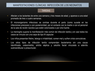 Manifestaciones clínicas: INFECCIÓN DE LOS NEONATOSTARDÍASAfectan a los lactantes de entre una semana y tres meses de edad, y aparece a una edad promedio de tres o cuatro semanas.El microorganismo infeccioso se contrae durante el parto (como sucede en las infecciones precoces) o con posterioridad, por el contacto con la madre o con el personal de la sala de recién nacidos que estén colonizados o por otra fuente.La meningitis supone la manifestación más común de infección tardía y en casi todos los casos se vincula con una cepa de tipo III capsular.Los niños presentan fiebre, letargo o irritabilidad, comen mal y sufren crisis convulsivas.Los otros tipos de infección tardía comprenden bacteriemia sin una causa identificada, osteomielitis, artritis séptica y celulitis facial vinculada a adenitis submandibular o preauricular.