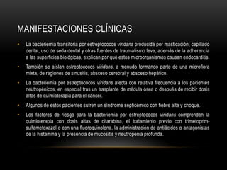 MANIFESTACIONES CLÍNICASLa bacteriemia transitoria por estreptococos viridans producida por masticación, cepillado dental, uso de seda dental y otras fuentes de traumatismo leve, además de la adherencia a las superficies biológicas, explican por qué estos microorganismos causan endocarditis.También se aíslan estreptococos viridans, a menudo formando parte de una microflora mixta, de regiones de sinusitis, absceso cerebral y absceso hepático.La bacteriemia por estreptococos viridans afecta con relativa frecuencia a los pacientes neutropénicos, en especial tras un trasplante de médula ósea o después de recibir dosis altas de quimioterapia para el cáncer.Algunos de estos pacientes sufren un síndrome septicémico con fiebre alta y choque.Los factores de riesgo para la bacteriemia por estreptococos viridans comprenden la quimioterapia con dosis altas de citarabina, el tratamiento previo con trimetoprim-sulfametoxazol o con una fluoroquinolona, la administración de antiácidos o antagonistas de la histamina y la presencia de mucositis y neutropenia profunda.