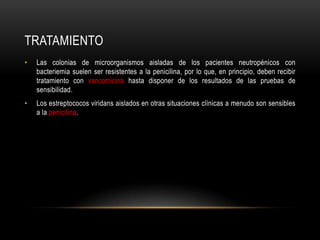 TRATAMIENTOLas colonias de microorganismos aisladas de los pacientes neutropénicos con bacteriemia suelen ser resistentes a la penicilina, por lo que, en principio, deben recibir tratamiento con vancomicinahasta disponer de los resultados de las pruebas de sensibilidad.Los estreptococos viridans aislados en otras situaciones clínicas a menudo son sensibles a la penicilina.
