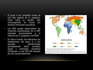 El grupo A de Lancefield consta de una sola especie de S. pyogenes. Como indica su nombre, este microorganismo se vincula con diversas infecciones supurativas.Los GAS pueden desencadenar los síndromes posinfecciosos de la ARF (asociada exclusivamente a la infección por S. pyogenesy la PSGN.En todo el mundo, las infecciones por estreptococos del grupo A y sus secuelas posinfecciosas (principalmente fiebre reumática aguda y cardiopatía reumática) contribuyen a unos 500 000 decesos por año, aproximadamente.