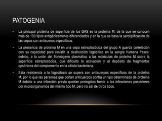 patogeniaLa principal proteína de superficie de los GAS es la proteína M, de la que se conocen más de 100 tipos antigénicamente diferenciados y en la que se basa la serotipificación de las cepas con antisueros específicos.La presencia de proteína M en una cepa estreptocócica del grupo A guarda correlación con su capacidad para resistir la destrucción fagocítica en la sangre humana fresca; debido, a la unión del fibrinógeno plasmático a las moléculas de proteína M sobre la superficie estreptocócica, que dificulta la activación y el depósito de fragmentos opsónicos del complemento en la célula bacteriana.Esta resistencia a la fagocitosis se supera con anticuerpos específicos de la proteína M, por lo que las personas que portan anticuerpos contra un tipo determinado de proteína M debido a una infección previa quedan protegidos frente a las infecciones posteriores por microorganismos del mismo tipo M, pero no así de otros tipos.