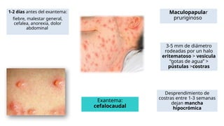 ENFERMEDADES EXANTEMATICAS Modiulo Pediatria PPTX enfermedades-exantematicas-modiulo-pediatria-pptx