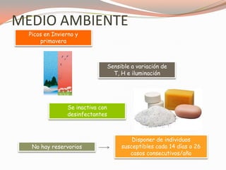 MEDIO AMBIENTE
Picos en Invierno y
primavera
No hay reservorios
Sensible a variación de
T, H e iluminación
Se inactiva con
desinfectantes
Disponer de individuos
susceptibles cada 14 días o 26
casos consecutivos/año
 