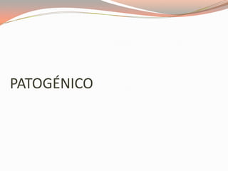 PATOGÉNICO
 