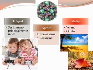 Huésped
• Ser humano
principalmente
niños
Agente
• Diversos virus
• Coxsackie
Medio
• Verano
• Otoño
 