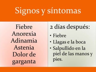 Signos y síntomas
Fiebre
Anorexia
Adinamia
Astenia
Dolor de
garganta
2 días después:
• Fiebre
• Llagas e la boca
• Salpullido en la
piel de las manos y
pies.
 