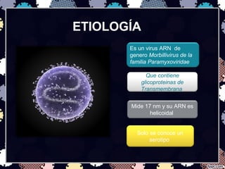 ETIOLOGÍA
Es un virus ARN de
genero Morbillivirus de la
familia Paramyxoviridae
Que contiene
glicoproteinas de
Transmembrana
Mide 17 nm y su ARN es
helicoidal
Solo se conoce un
serotipo
 