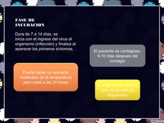 FASE DE
INCUBACION
Dura de 7 a 14 días, se
inicia con el ingreso del virus al
organismo (infección) y finaliza al
aparecer los primeros síntomas.
Puede haber un aumento
moderado de la temperatura
pero cede a las 24 horas
El paciente es contagioso
9-10 días después del
contagio
El paciente es contagioso
9-10 días después del
contagio
O a los 7 días cuando
aun no es claro el
diagnostico
 
