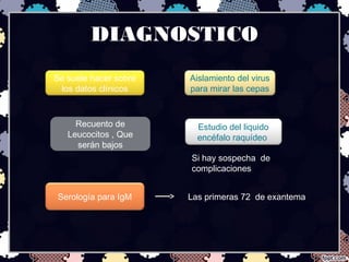 DIAGNOSTICO
Se suele hacer sobre
los datos clínicos
Serología para IgM Las primeras 72 de exantema
Aislamiento del virus
para mirar las cepas
Recuento de
Leucocitos , Que
serán bajos
Estudio del liquido
encéfalo raquídeo
Si hay sospecha de
complicaciones
 