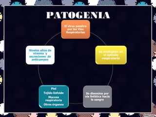 PATOGENIA
 