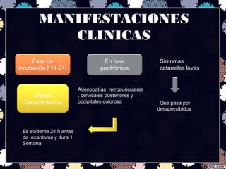 MANIFESTACIONES
CLINICAS
Fase de
incubación ( 14-21)
En fase
prodrómica
Síntomas
catarrales leves
Signos
Característicos
Adenopatías retroauriculares
, cervicales posteriores y
occipitales dolorosa
Es evidente 24 h antes
de exantema y dura 1
Semana
Que pasa por
desapercibidos
 