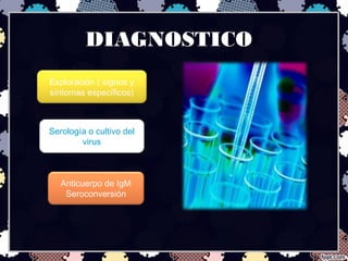 DIAGNOSTICO
Exploración ( signos y
síntomas específicos)
Serología o cultivo del
virus
Anticuerpo de IgM
Seroconversión
 